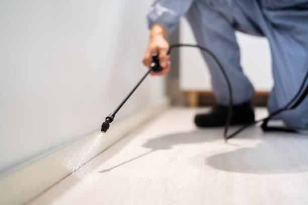 Licensed Termite Control service in San Mateo, CA - Nex Pest Control