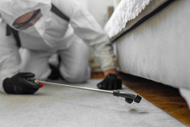 Professional Termite Control technician working in San Mateo, CA