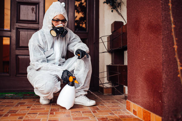 Reliable Termite Control contractor in San Mateo, CA by Nex Pest Control